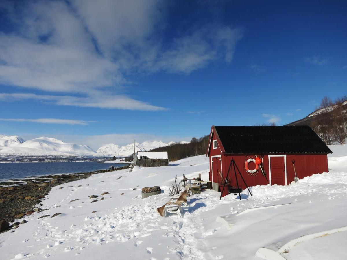 Olderdalen Ski Camp 외부 사진