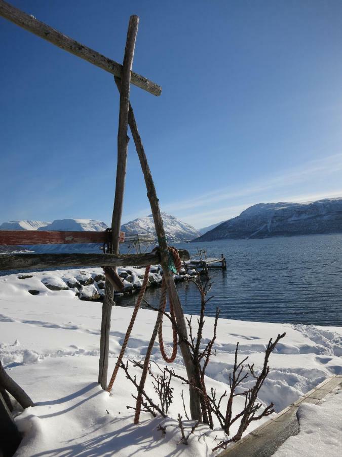 Olderdalen Ski Camp 외부 사진