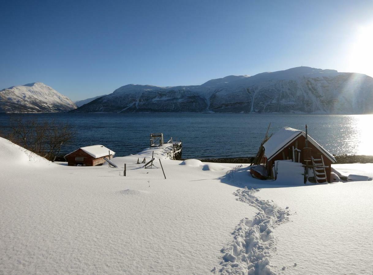 Olderdalen Ski Camp 외부 사진